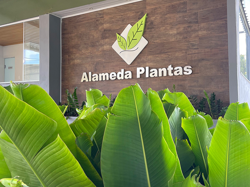 Escritório Alameda Plantas