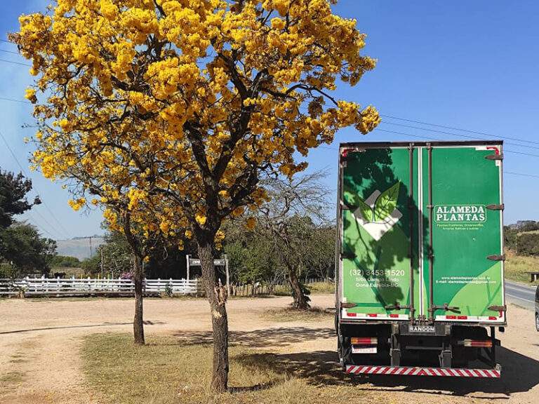 Logística Alameda Plantas