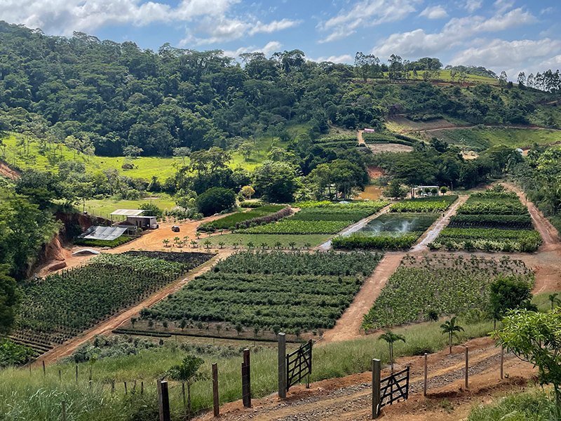 Viveiro Alameda Plantas
